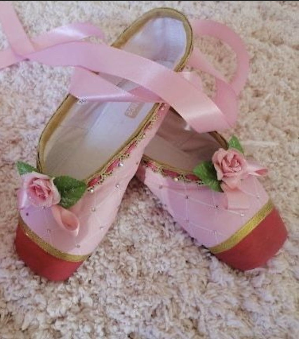 Princess Genevieve Shoes 12 Dancing Princesses Ballet Shoes